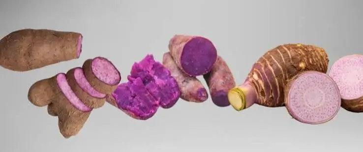 Is purple yam the same as ube